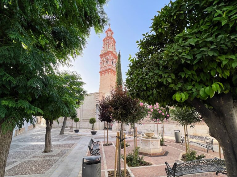 Imagen de WhatsApp 2024-12-19 a las 17.33.11_a659270c